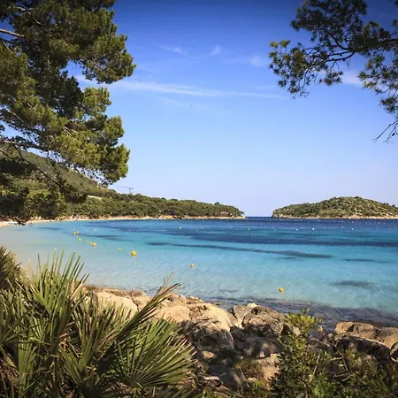 Bugambilia * Port de Pollença