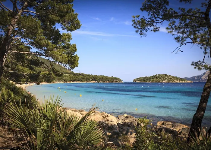 Bugambilia * Puerto Pollensa